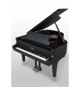 Classic C169 Black Pearl